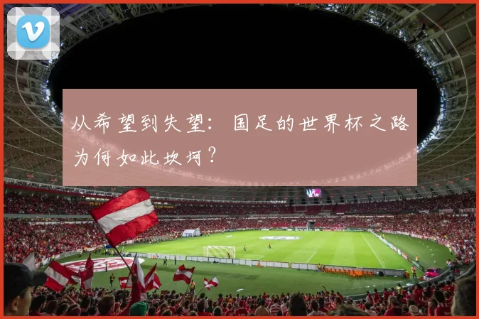 从希望到失望：国足的世界杯之路为何如此坎坷？