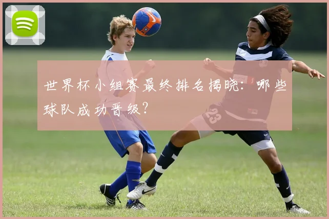 世界杯小组赛最终排名揭晓：哪些球队成功晋级？
