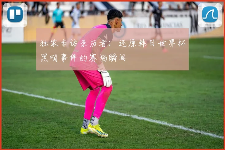 独家专访亲历者：还原韩日世界杯黑哨事件的赛场瞬间
