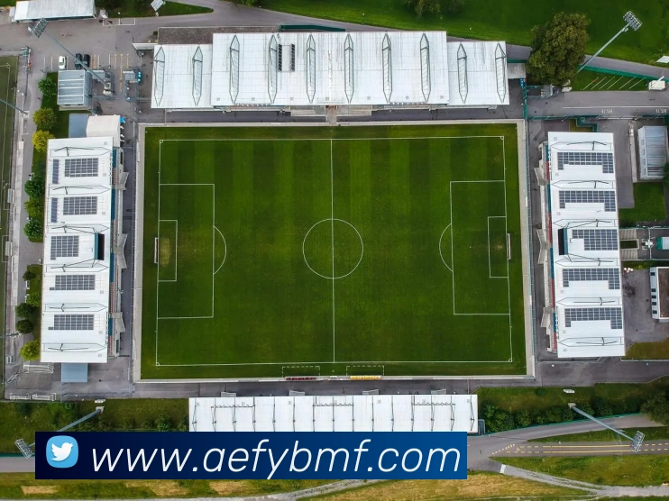 leyu乐鱼手机官网入口平台生态图